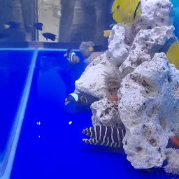 Vizag's Ocean aquarium