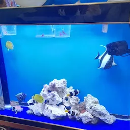 Vizag's Ocean aquarium