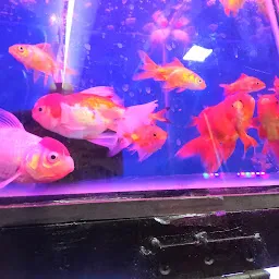 Ocean Aquarium and Pet Shop