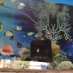 Ocean Fish & Aquarium Shop