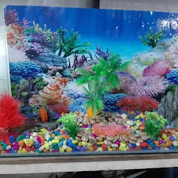 Ocean Fish & Aquarium Shop