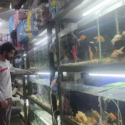 Oceans Aquarium & Pet World