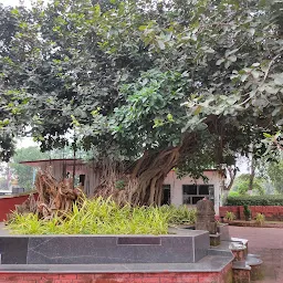 Odisha State Museum