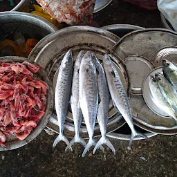 Old Fishing Harbour