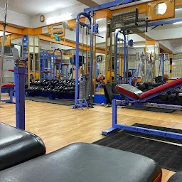 Olympic Gym & Fitness Center