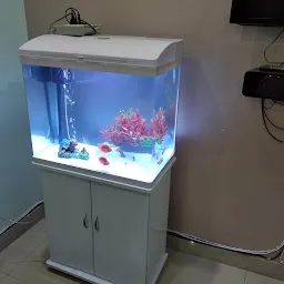 Om Aquarium