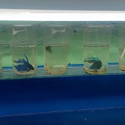 Om Sai Aquarium