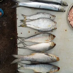 Om Sai Sea Food