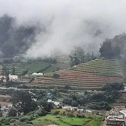 Ooty chika tours and travels