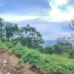 OOTY Hidden Valley Jungle Camp