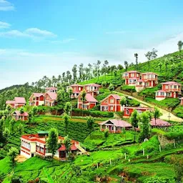 Ooty Hotels Booking