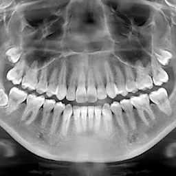Oral Care Dental Clinic, Dr rajiv ranjan