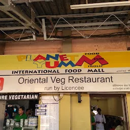 Oriental Veg Restaurant