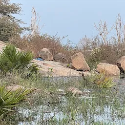 Osman Sagar lake birding point