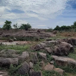 Osman sagar lake road