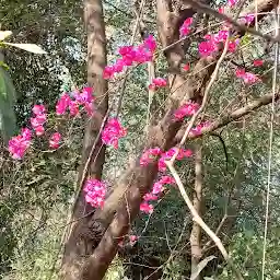 Ovalekar Wadi Butterfly Garden