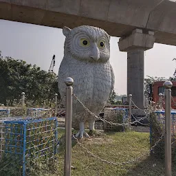Owl More