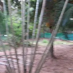 OYO Home 26633 Peacefull 1bhk @ Auroville