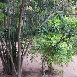 OYO Home 26633 Peacefull 1bhk @ Auroville