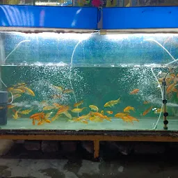 P.Chatterji Aquarium