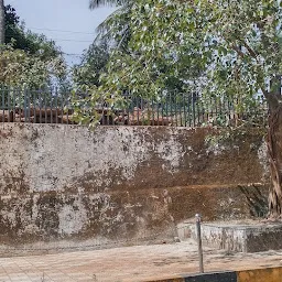 Paangal SC colony wayside garden.