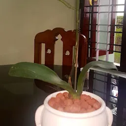 Padma Orchid and Indoor Plants