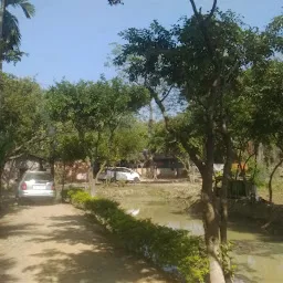 Padum Pukhuri Public Ground