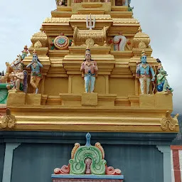 Palamalai Aranganathar Temple