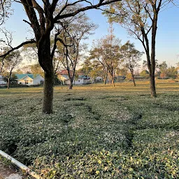 Palampur Tea Gardens