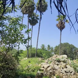 Palaniappan Naikar garden