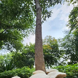 Pallikaranai Marshland Park