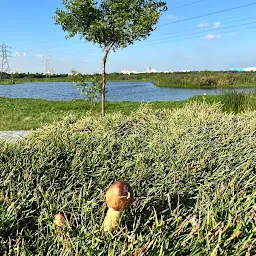 Pallikaranai Marshland Park