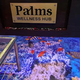 Palms Wellness hub