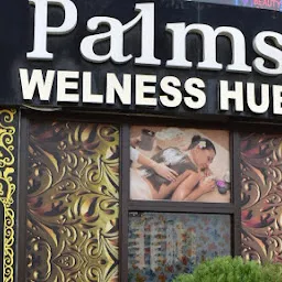 Palms Wellness hub