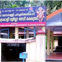 Panachakkal Kavu Bhadrakali Durgadevi Temple പനച്ചക്കൽ കാവ് ഭദ്രകാളി ദുർഗാദേവി ക്ഷേത്രം