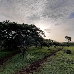 Panchavati Garden