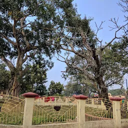 Panchavati Park