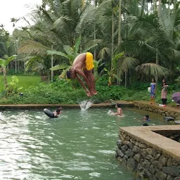 Panchayath Pond