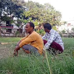 Pandey Ji Nasta Corner