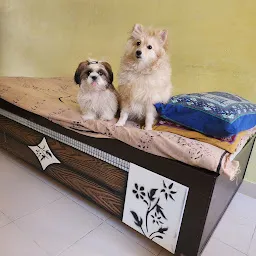 PANDYA PETS