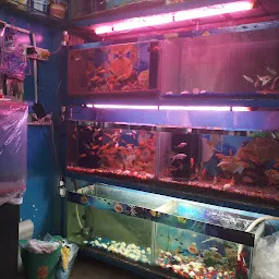 Panipat Fish Aquarium