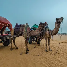 Panwar Camel & Jeep Safari Pushkar