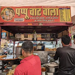 Pappu Chaat Wala - Best chaat in jodhpur