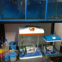 Paradise Aquarium