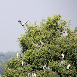 Paradise for Migratory birds