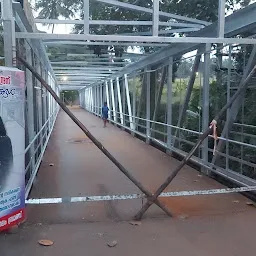 Parayilkadavu Bridge