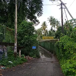 Parayilkadavu Bridge