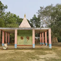 Pareshnath Temple