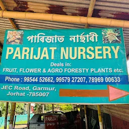 Parijat Nursery Jorhat