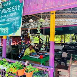 Parijat Nursery Jorhat